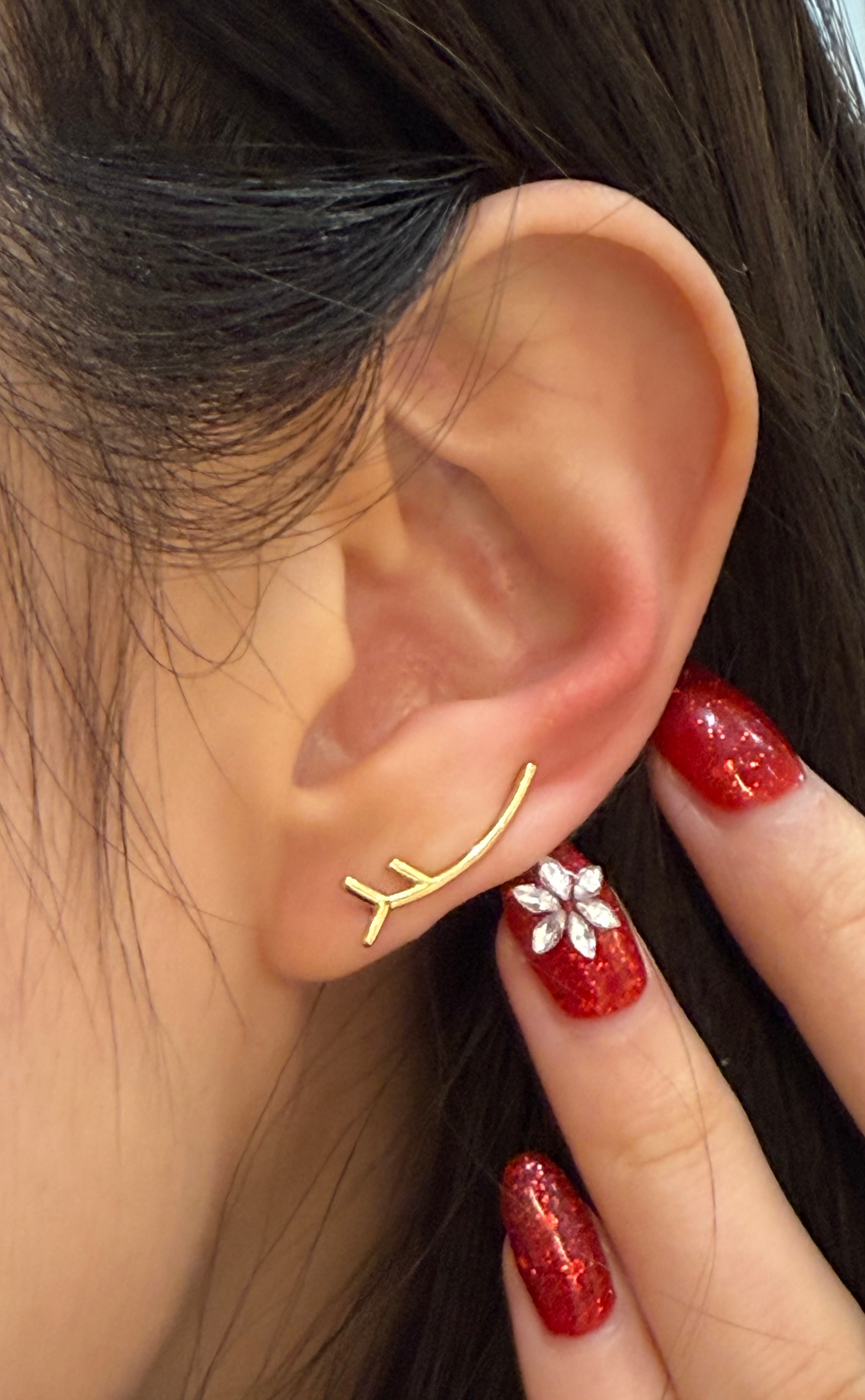 Climber earring
